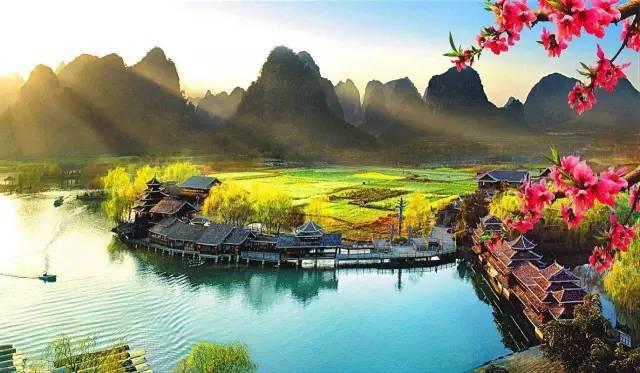 奥日与黑暗森林