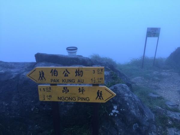 一个男性朋友表白失败了，我要怎么开导他游戏画面