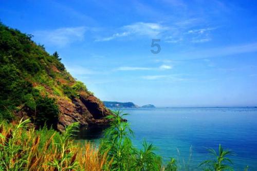 悬疑剧又出一张王牌！开播11天便大结局，一口气追8集太上瘾