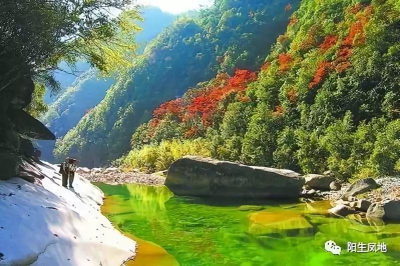 湖南啥地方出产化橘红？游戏画面